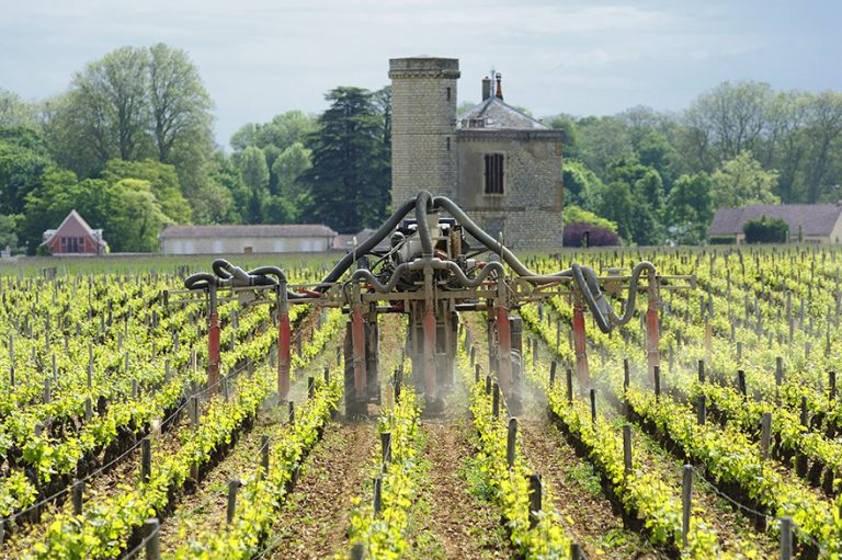 Weinregion Burgund